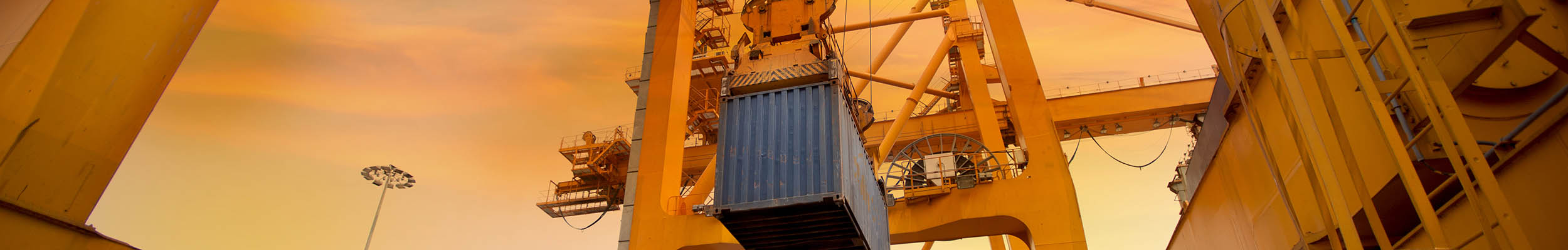 Köprülü Vinç Operatörü